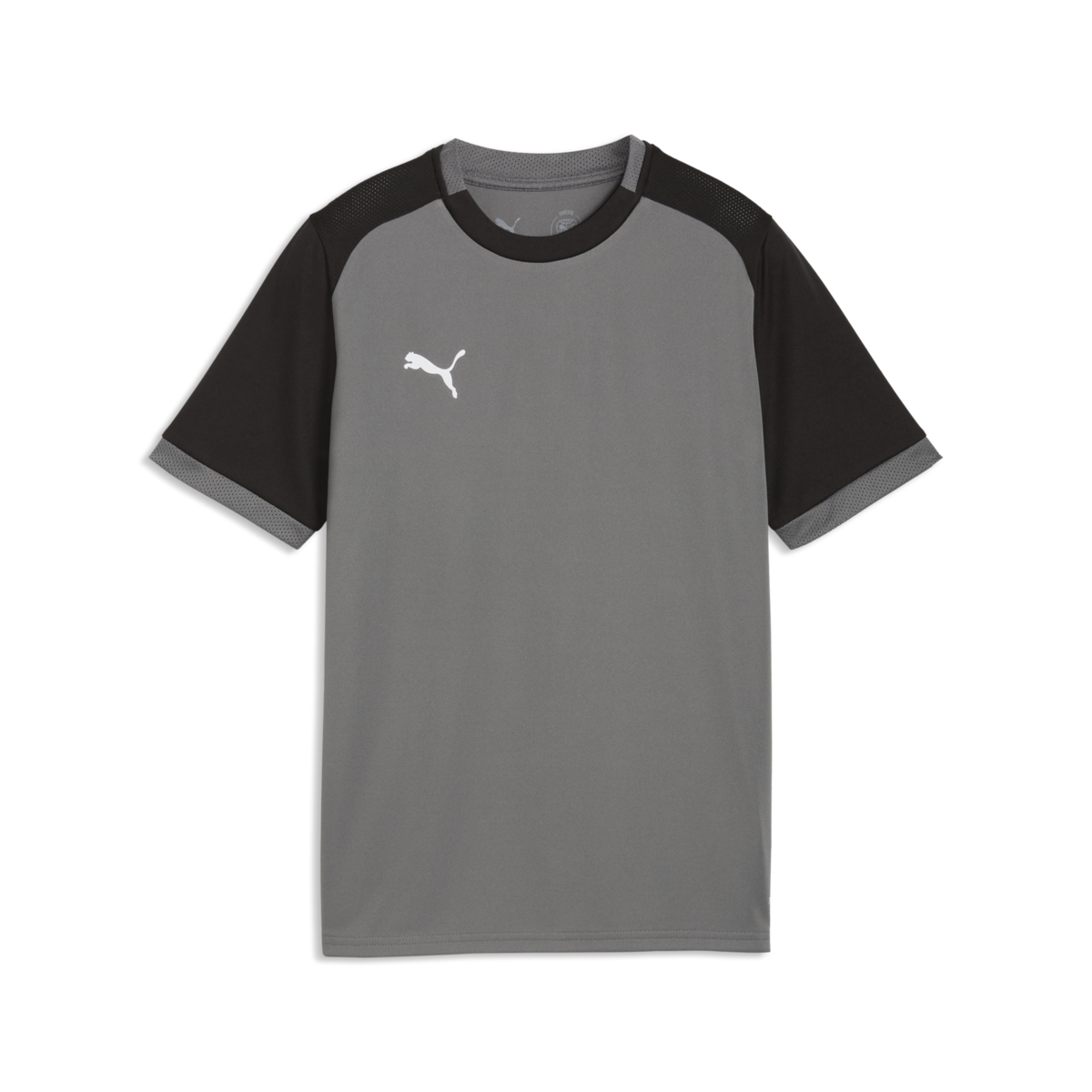 Puma Youth TeamLiga 26 Matchday Jersey - Gray