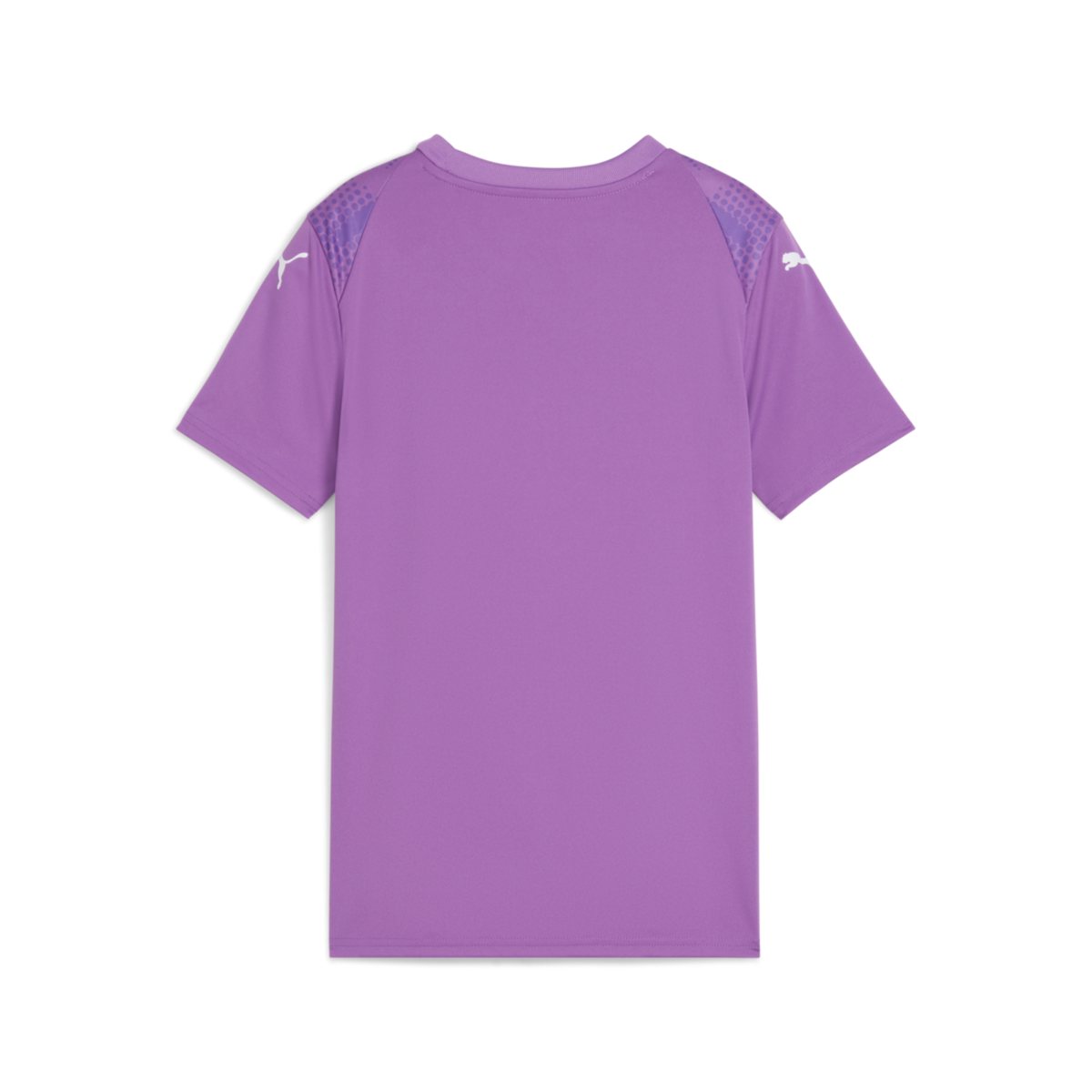 Puma Youth Teamultimate Jersey - Purple