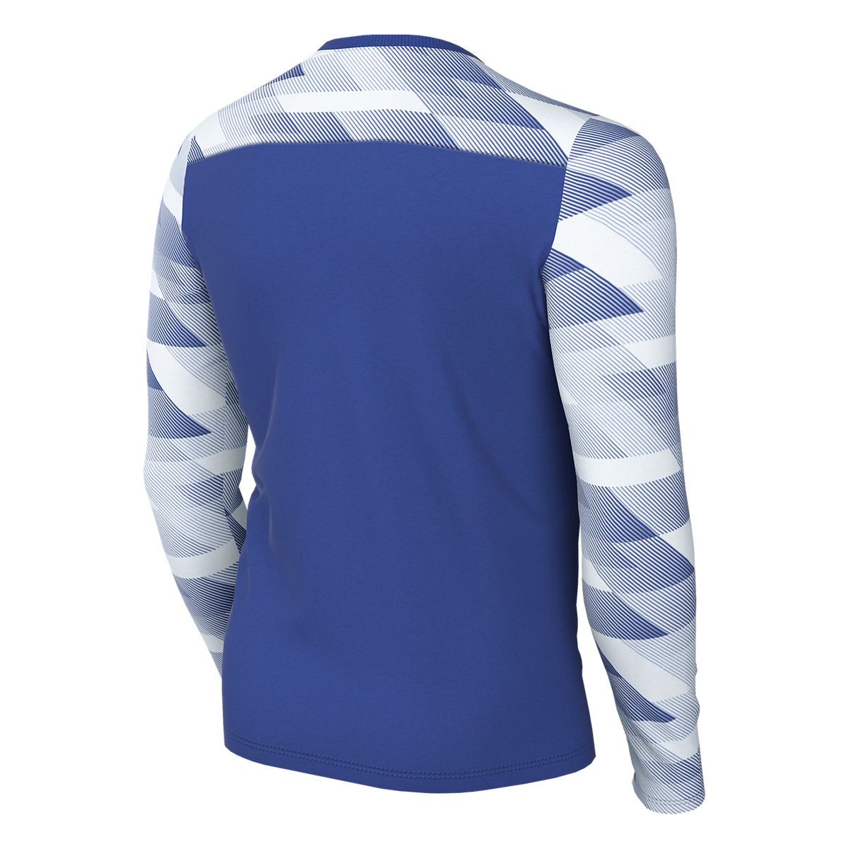 Nike Youth Dri-FIT Park IV GK Jersey - Royal