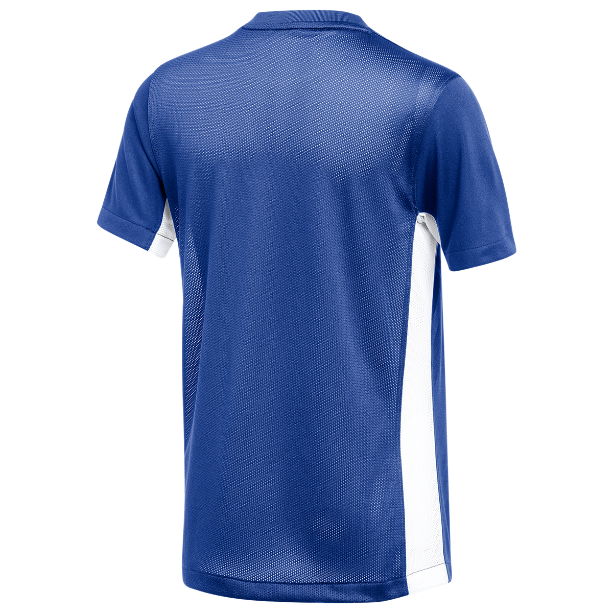 Nike Youth Dri-FIT Challenge V Jersey - Royal