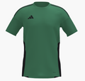 Placer- GK Jersey YOUTH- Green