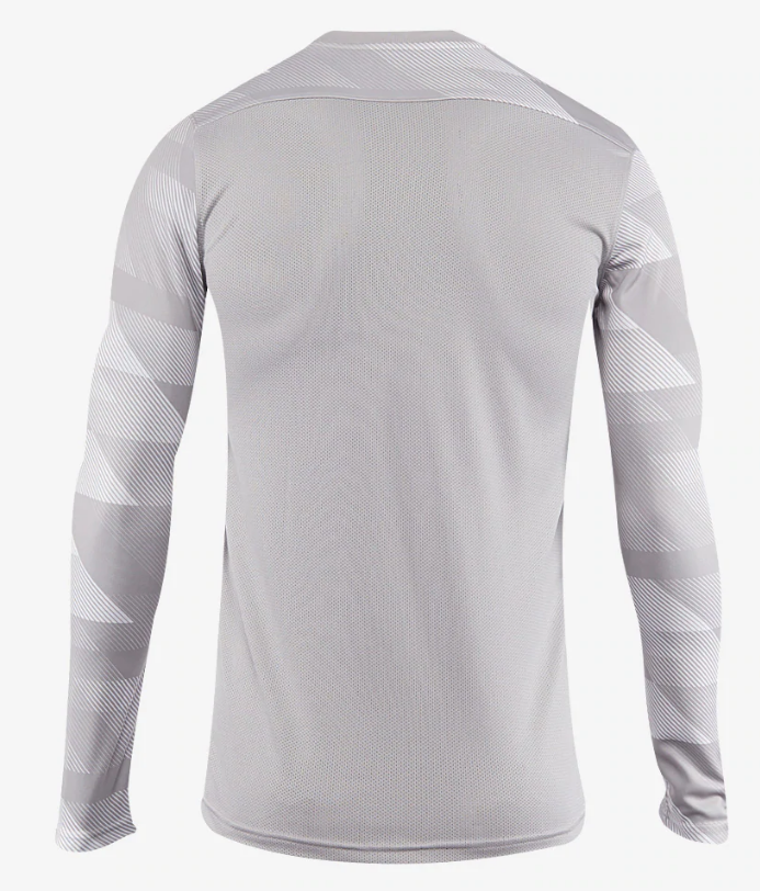 Nike Dri-FIT Park IV GK Jersey - Gray