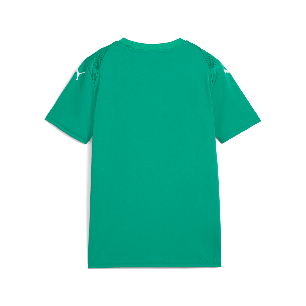 Puma Youth Teamultimate Jersey - Green